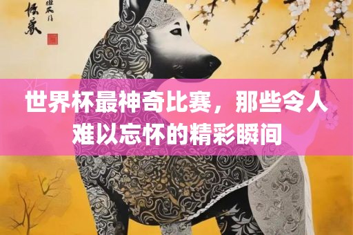 世界杯最神奇比赛，那些令人难以忘怀的精彩瞬间