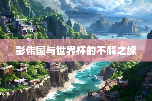 彭伟国与世界杯的不解之缘