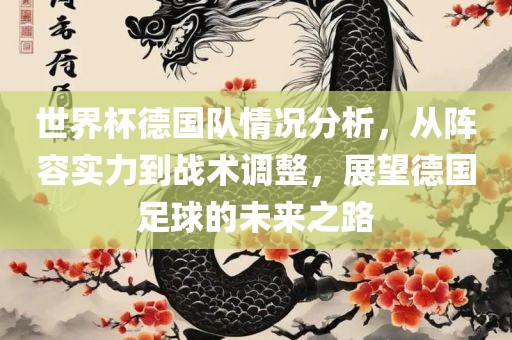 世界杯德国队情况分析，从阵容实力到战术调整，展望德国足球的未来之路