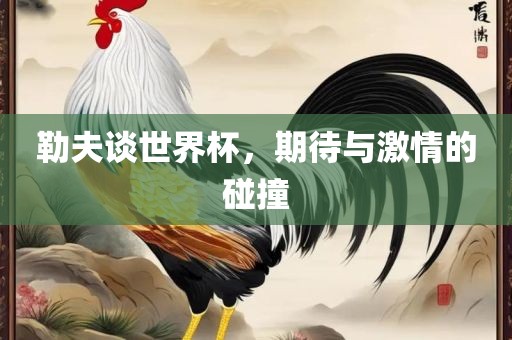 勒夫谈世界杯，期待与激情的碰撞