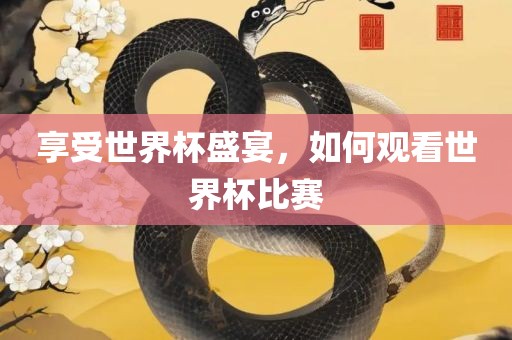 享受世界杯盛宴，如何观看世界杯比赛