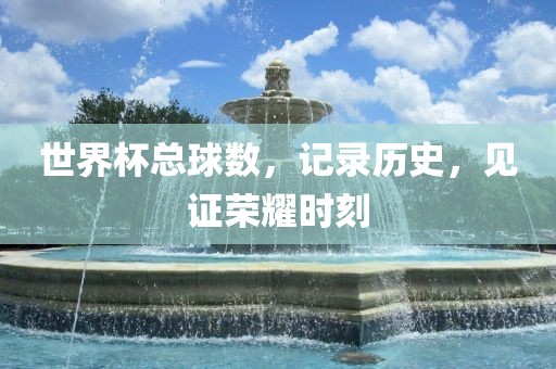 世界杯总球数，记录历史，见证荣耀时刻