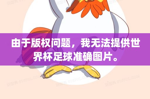 由于版权问题，我无法提供世界杯足球准确图片。