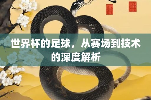 世界杯的足球，从赛场到技术的深度解析