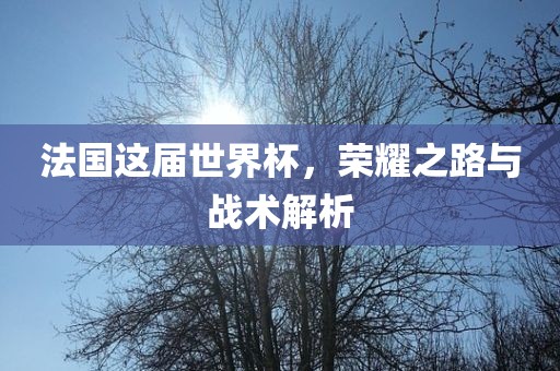 法国这届世界杯，荣耀之路与战术解析