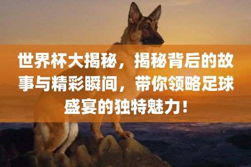 世界杯大揭秘，揭秘背后的故事与精彩瞬间，带你领略足球盛宴的独特魅力！