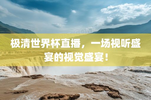 极清世界杯直播，一场视听盛宴的视觉盛宴！
