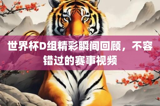 世界杯D组精彩瞬间回顾，不容错过的赛事视频