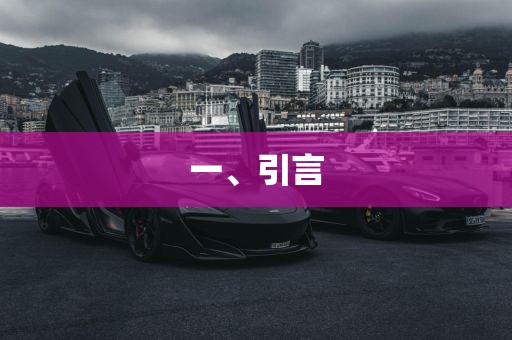 一、引言