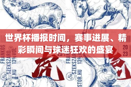 世界杯播报时间，赛事进展、精彩瞬间与球迷狂欢的盛宴