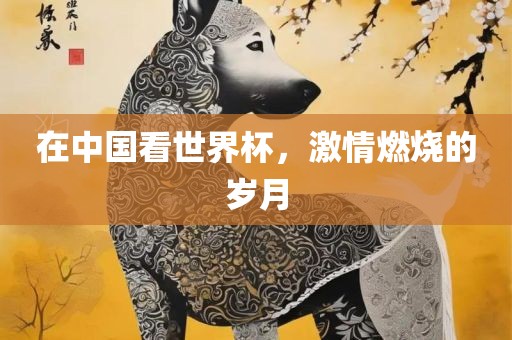 在中国看世界杯，激情燃烧的岁月