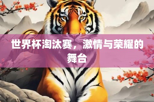 世界杯淘汰赛，激情与荣耀的舞台