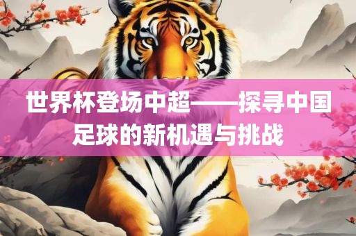 世界杯登场中超——探寻中国足球的新机遇与挑战