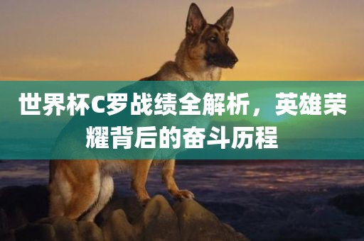 世界杯C罗战绩全解析，英雄荣耀背后的奋斗历程