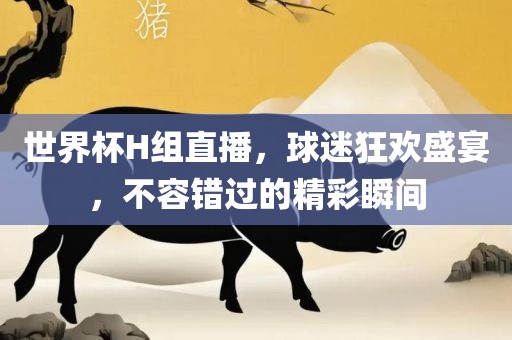 世界杯H组直播，球迷狂欢盛宴，不容错过的精彩瞬间广州鸿业环保设备有限公司