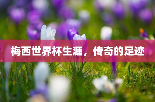 梅西世界杯生涯，传奇的足迹
