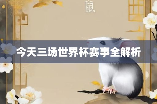 今天三场世界杯赛事全解析