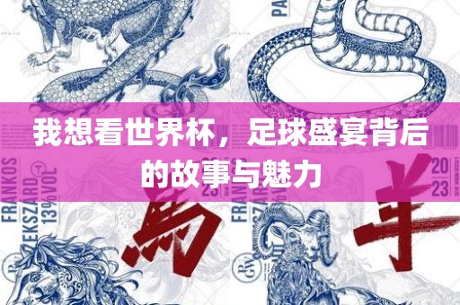 我想看世界杯，足球盛宴背后的故事与魅力