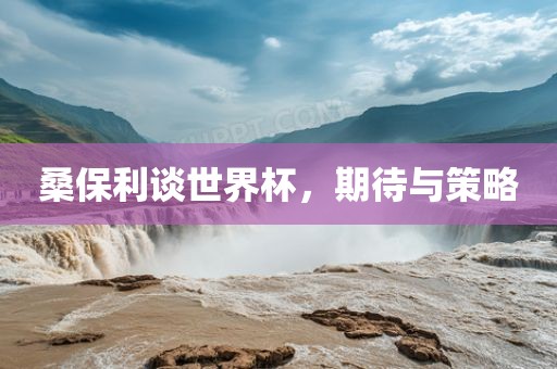 桑保利谈世界杯，期待与策略