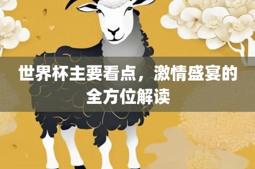 世界杯主要看点，激情盛宴的全方位解读