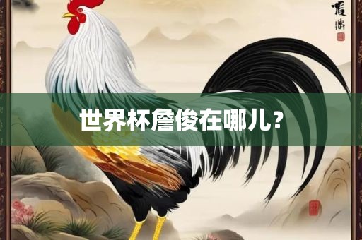 世界杯詹俊在哪儿？