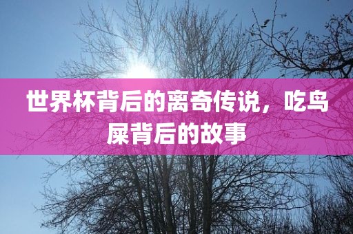 世界杯背后的离奇传说，吃鸟屎背后的故事