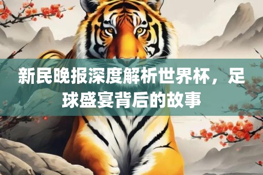 新民晚报深度解析世界杯，足球盛宴背后的故事