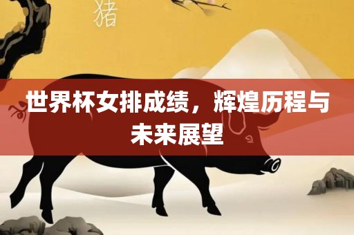 世界杯女排成绩，辉煌历程与未来展望