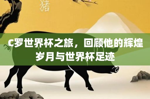 C罗世界杯之旅，回顾他的辉煌岁月与世界杯足迹