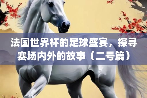 法国世界杯的足球盛宴，探寻赛场内外的故事（二号篇）