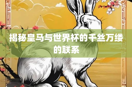揭秘皇马与世界杯的千丝万缕的联系