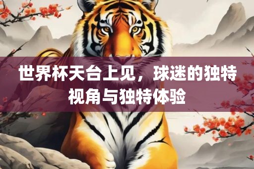 世界杯天台上见，球迷的独特视角与独特体验