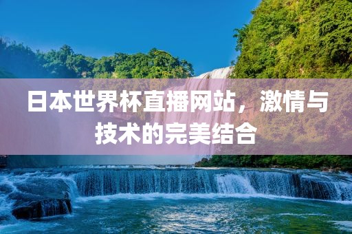 日本世界杯直播网站，激情与技术的完美结合