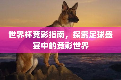 世界杯竞彩指南，探索足球盛宴中的竞彩世界