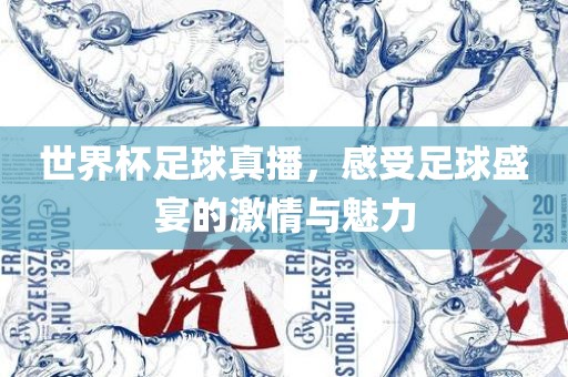 世界杯足球真播，感受足球盛宴的激情与魅力