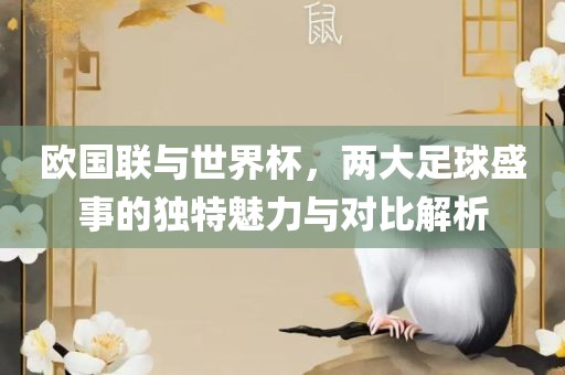 欧国联与世界杯，两大足球盛事的独特魅力与对比解析