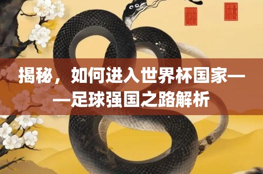 揭秘，如何进入世界杯国家——足球强国之路解析