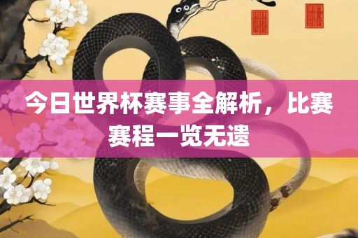 今日世界杯赛事全解析，比赛赛程一览无遗