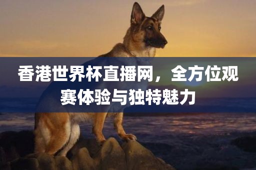 香港世界杯直播网，全方位观赛体验与独特魅力