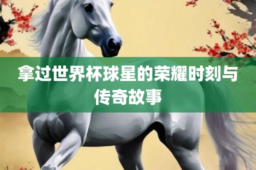 拿过世界杯球星的荣耀时刻与传奇故事