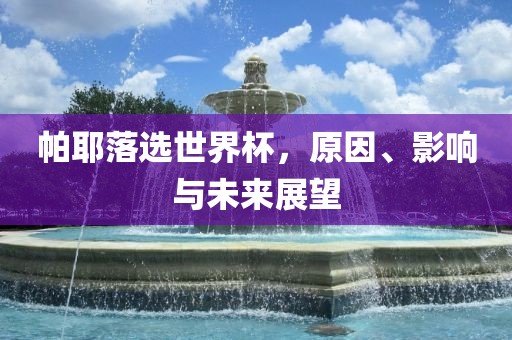 未来展望