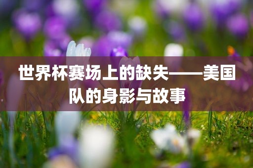 世界杯赛场上的缺失——美国队的身影与故事