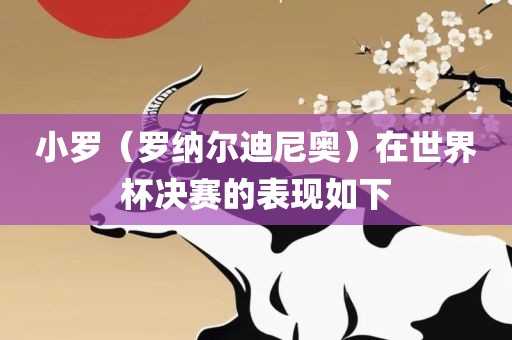 小罗（罗纳尔迪尼奥）在世界杯决赛的表现如下