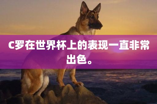 C罗在世界杯上的表现一直非常出色。