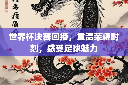 世界杯决赛回播，重温荣耀时刻，感受足球魅力