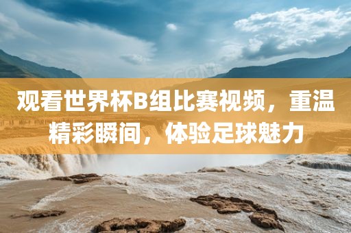 观看世界杯B组比赛视频，重温精彩瞬间，体验足球魅力
