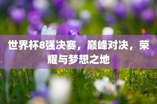 世界杯8强决赛，巅峰对决，荣耀与梦想之地