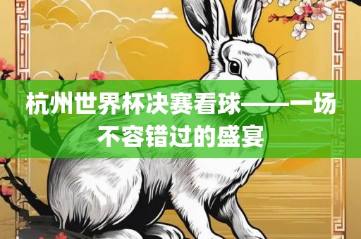 杭州世界杯决赛看球——一场不容错过的盛宴