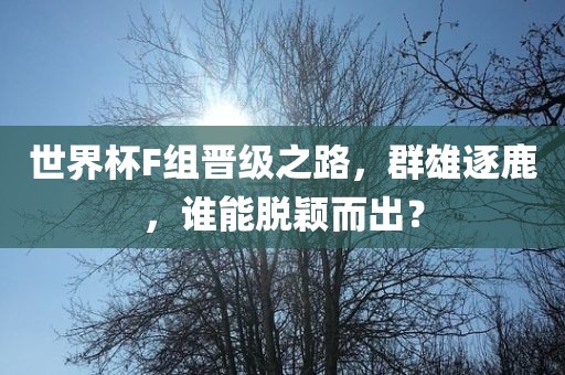 世界杯F组晋级之路，群雄逐鹿，谁能脱颖而出？