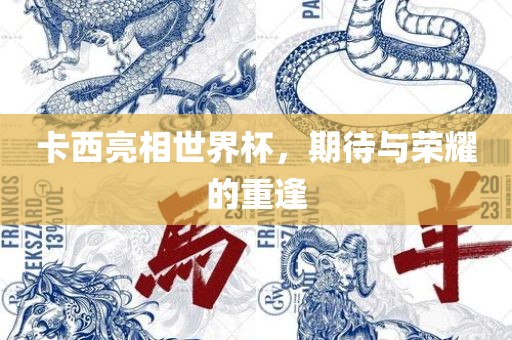 卡西亮相世界杯，期待与荣耀的重逢